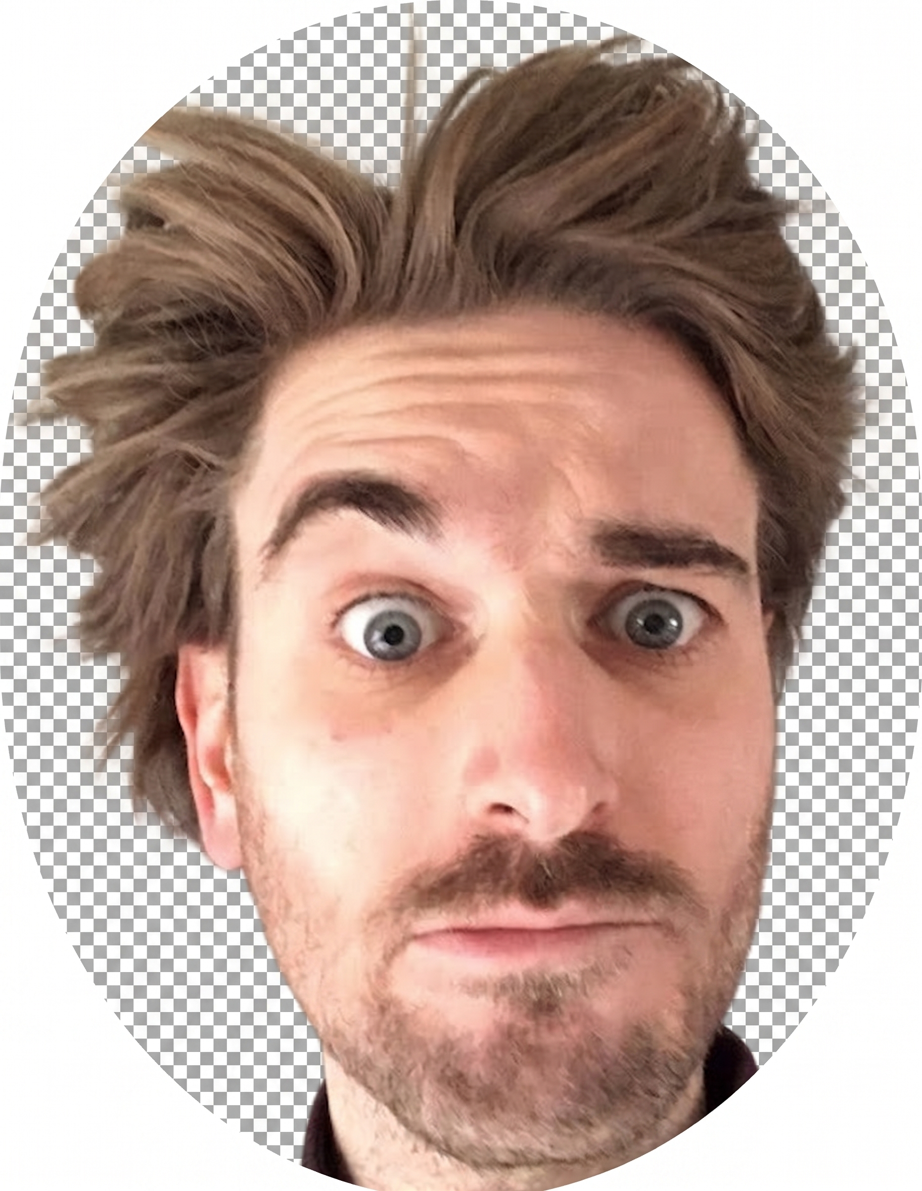 De Bachelor
